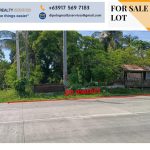 Dapitan Residential Lot for Sale 3