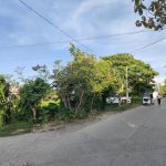 Lot for Sale near DMC