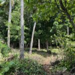 505224807_733455045825835_5765859132715645947_n