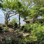 506903818_1182696166874602_7309294377444130093_n