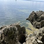 508573844_1431688014635828_1716668122564756468_n