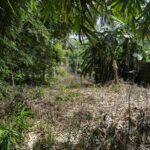 1c35bd63-e1db-42ef-b5d3-de161e279ae6