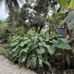 27442e1d-7c42-47dc-98d3-eebdf50ad53e