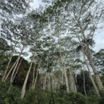 2d987deb-ddef-40a7-8be7-eb2fce428126