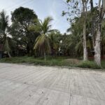 2f74c123-b1ba-4858-8442-6ce41b5fc206