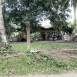 322fdcb4-b42b-4e56-a90c-aa137336e57e