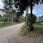 36298c45-93c4-44df-a04c-cffb88c13edb