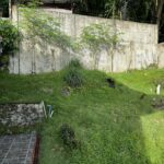 439eca39-eb2b-49b3-82ba-fe50de8cf76e