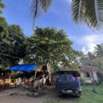 522679092_1212946077512523_7878210633259007282_n