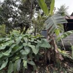 529e53e0-36bd-4862-804f-7a754486fdc3