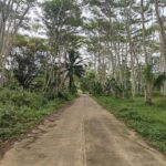 539348153_25154771237443651_6984270541293626233_n