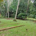 599384437_1508521933774818_5903625200480070915_n