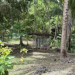 5c871560-11b9-4d02-83b1-baf9c5f2d33e