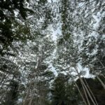 63f687bd-023c-4944-a9b5-9fe3b526a9bd