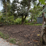 ChatGPT Image Feb 1, 2026, 09_01_06 PM