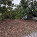 ChatGPT Image Feb 1, 2026, 09_04_33 PM