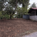 ChatGPT Image Feb 1, 2026, 09_06_24 PM