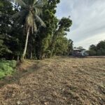 d6e34178-3592-4a8a-ac91-7f41b9df3000 – Copy