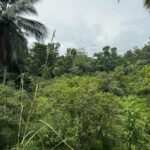 e2d7f9cf-2085-440d-a2c5-73b83580275d